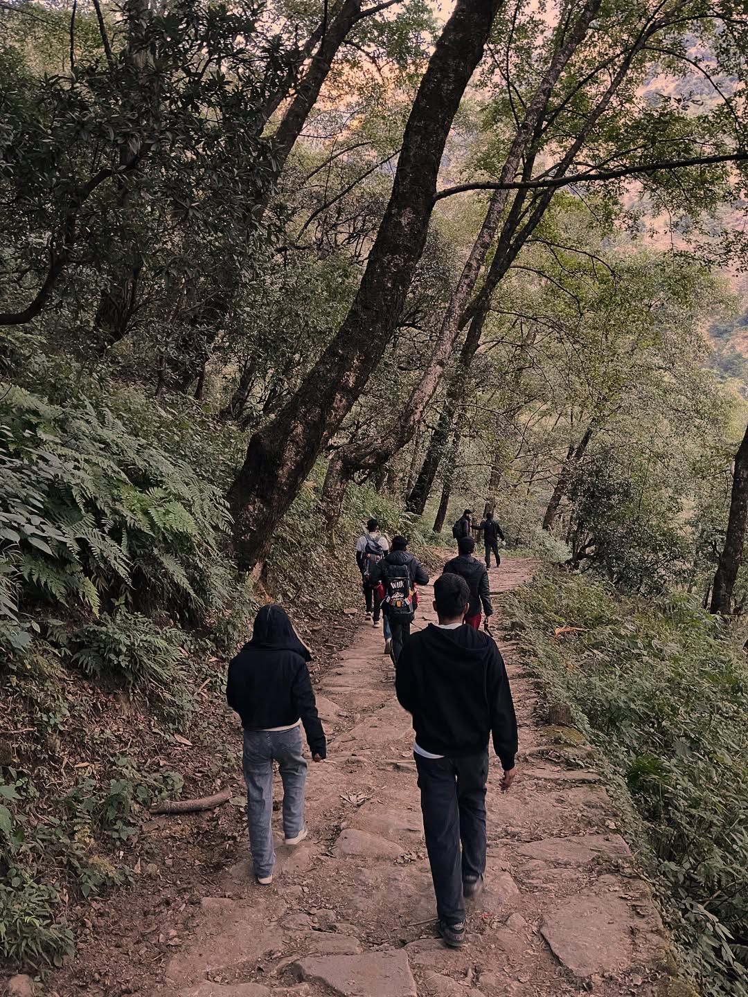 Madhmaheshwar trek scenic nature